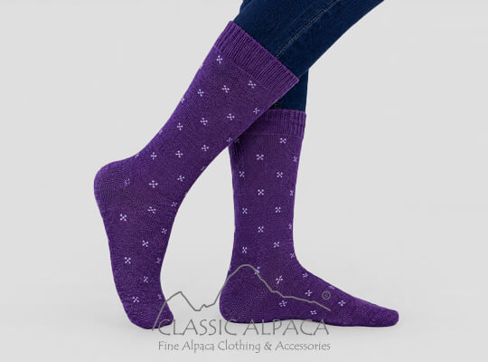 Premium Alpaca Dot Dress Crew Socks