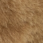 Baby Alpaca Fur-Standing Alpaca 13 inches